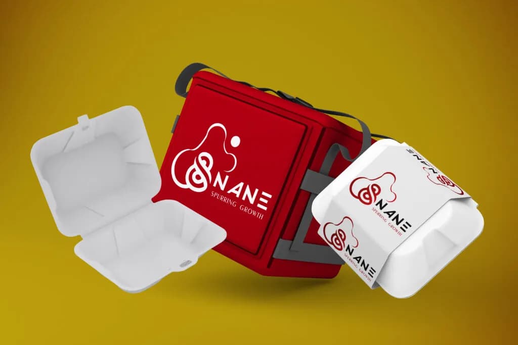 Nane branded food boxes and delivery bag