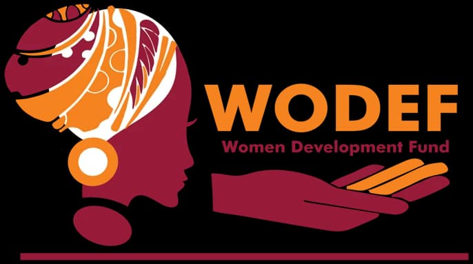WODEF – Logo & Website for Women Development Fund Kenya